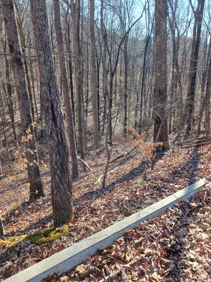 Property Photo:  311 Roberts Mill Road  TN 37343 