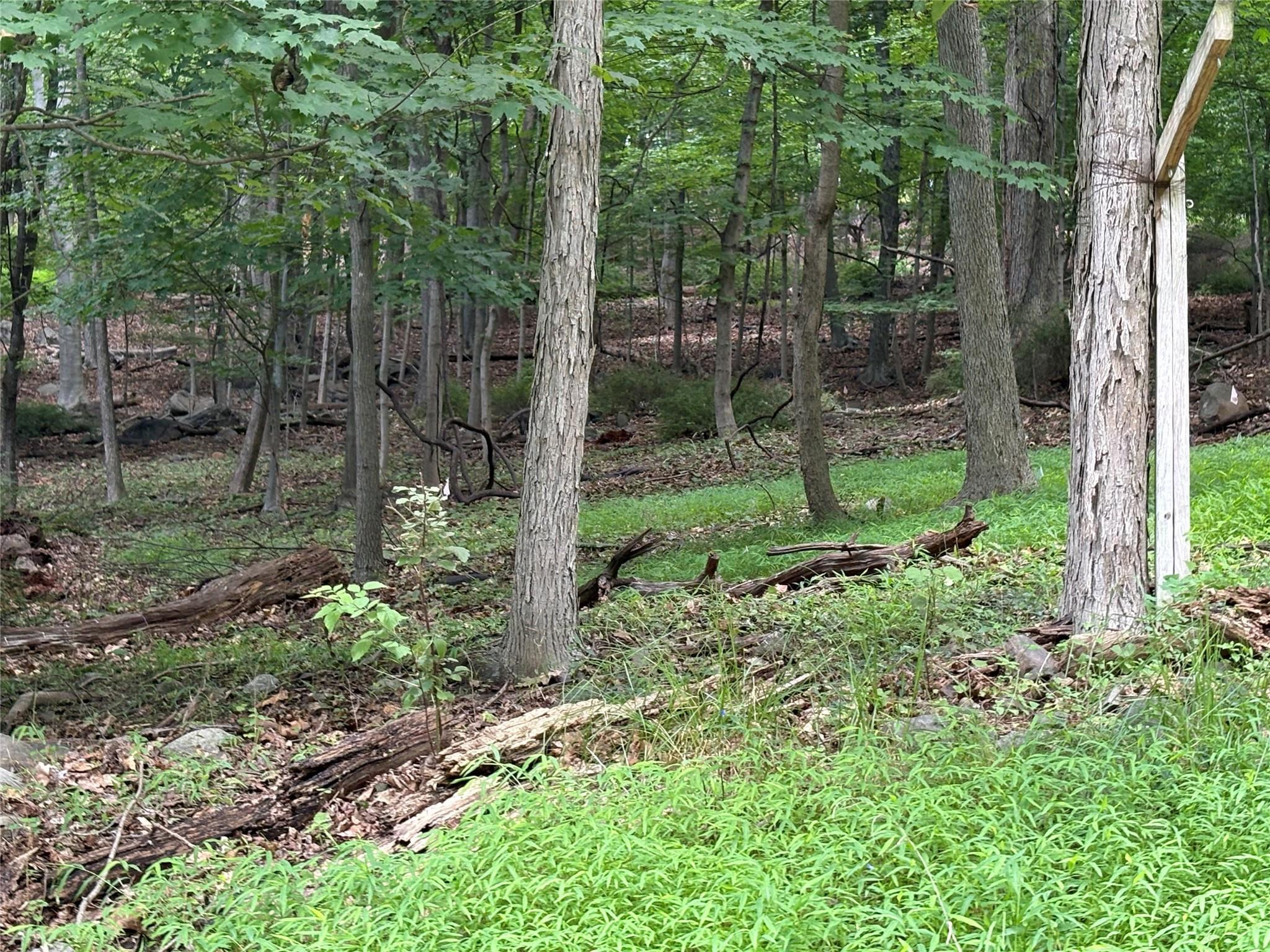 Property Photo:  36 Clausland Mountain Road  NY 10913 