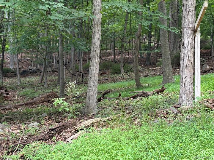 Property Photo: 36 Clausland Mountain Road NY 10913