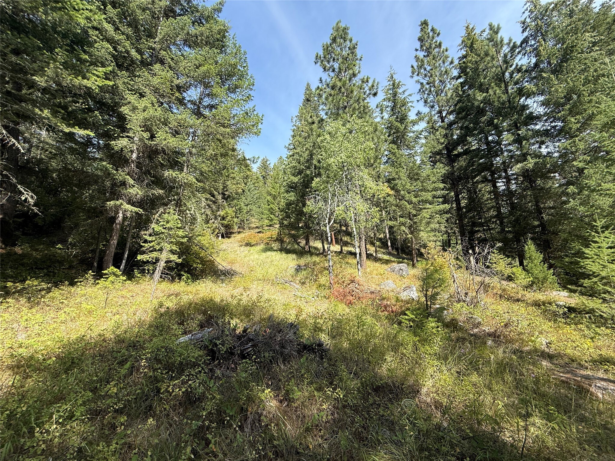 Property Photo: Nkn Wyant Lane MT 59840