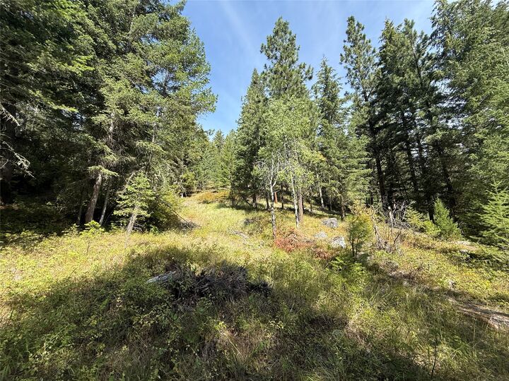 Property Photo:  Nkn Wyant Lane  MT 59840 