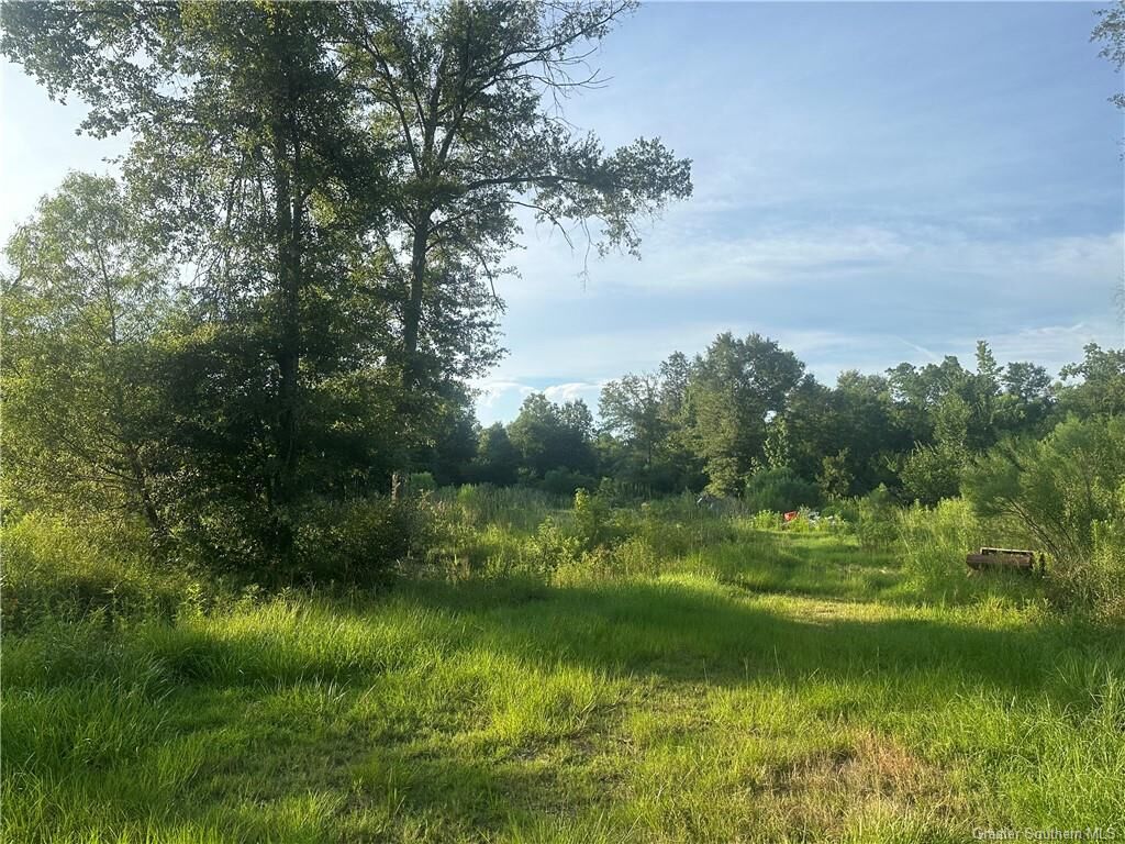 Property Photo:  0 Ruth Drive  LA 70657 