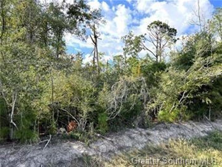 Property Photo: 0 Nelson Road LA 70605