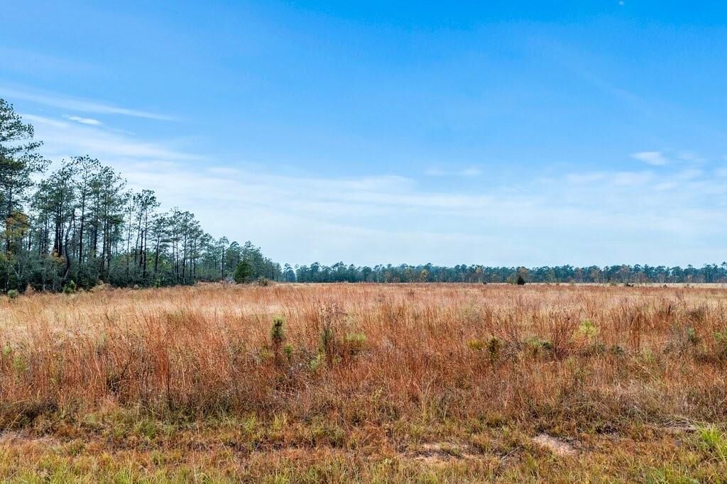 Property Photo: McCorquodale Lot 17 Road LA 70652