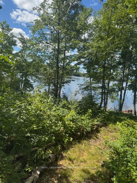 Property Photo: 493 Buttermilk Lane N ON K0K 2M0