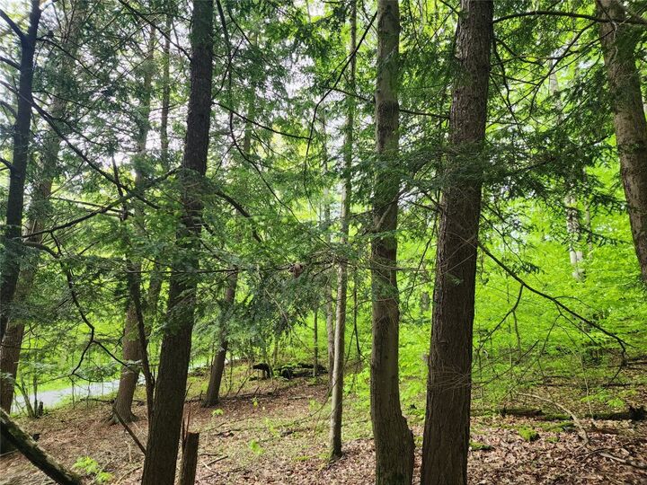 Property Photo:  0 Race Road  NY 13778 
