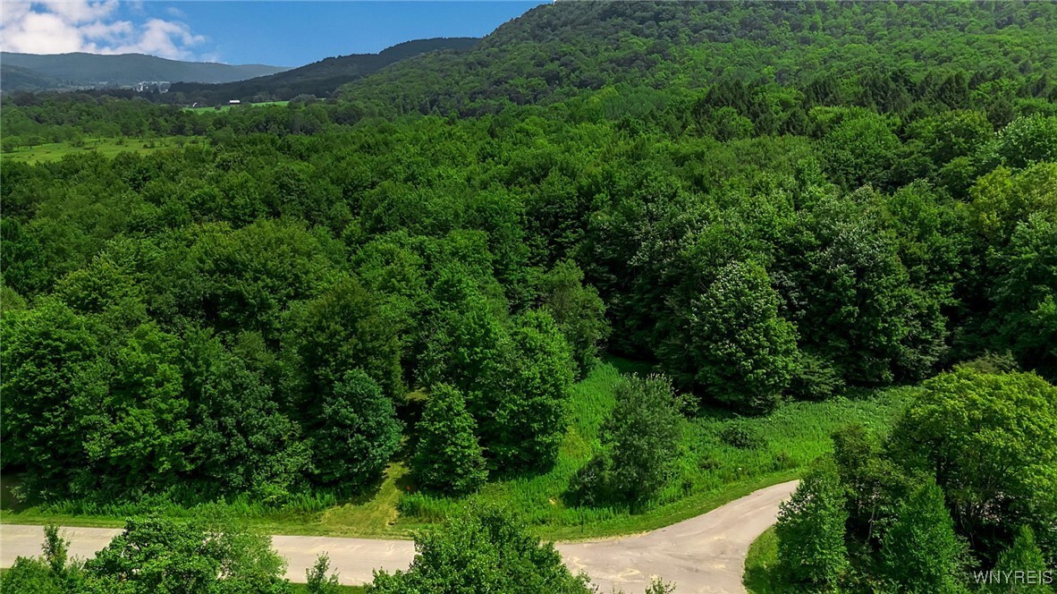 Property Photo:  4456 Courtney Highland Drive  NY 14741 
