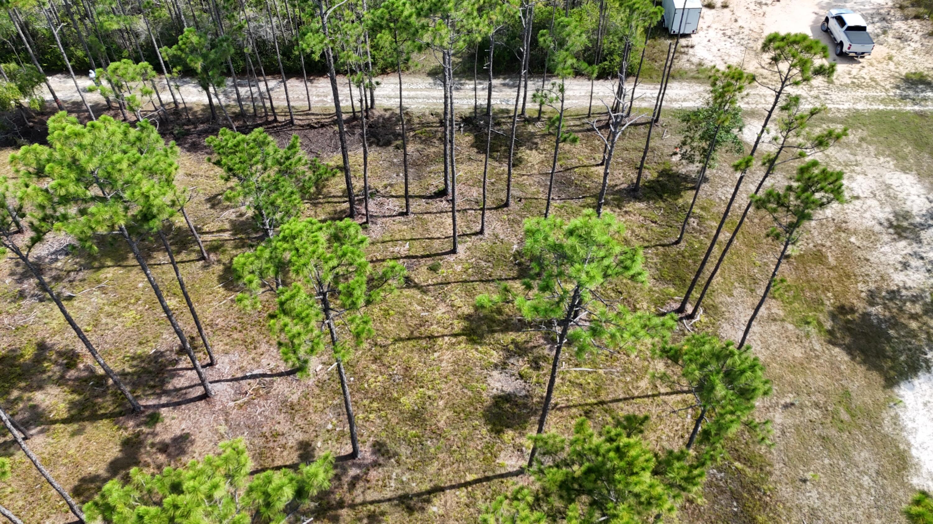 Property Photo:  Lot 5 Foxmire Farm Road  FL 32459 