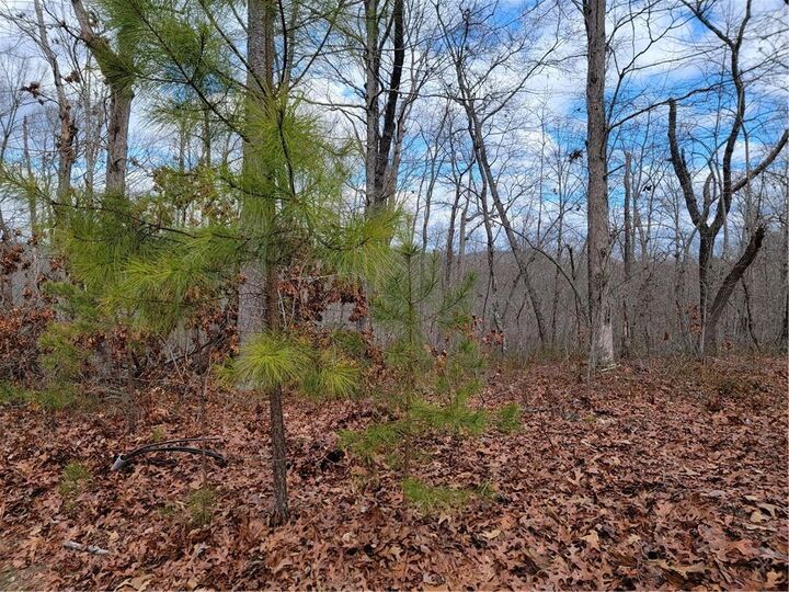 Property Photo:  0 Harris Creek Drive  GA 30540 