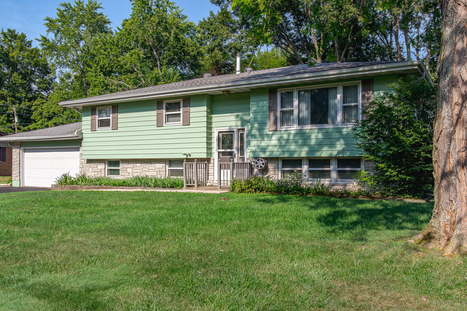 Property Photo: 1239 Dogwood Drive IN 46304
