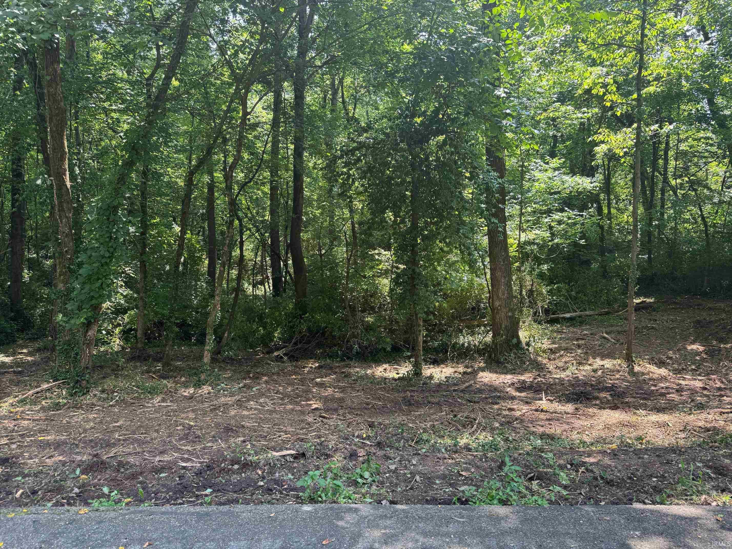 1633 Shannon Lane 9  Evansville IN 47725 photo