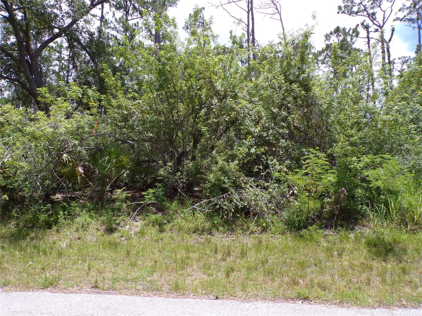 Property Photo:  18179 Winters Avenue  FL 33948 