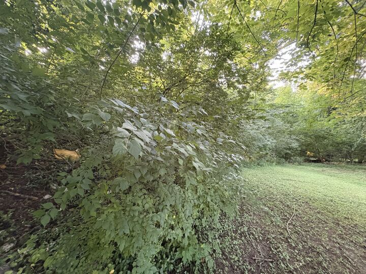 Property Photo:  0 9th Street  TN 37040 