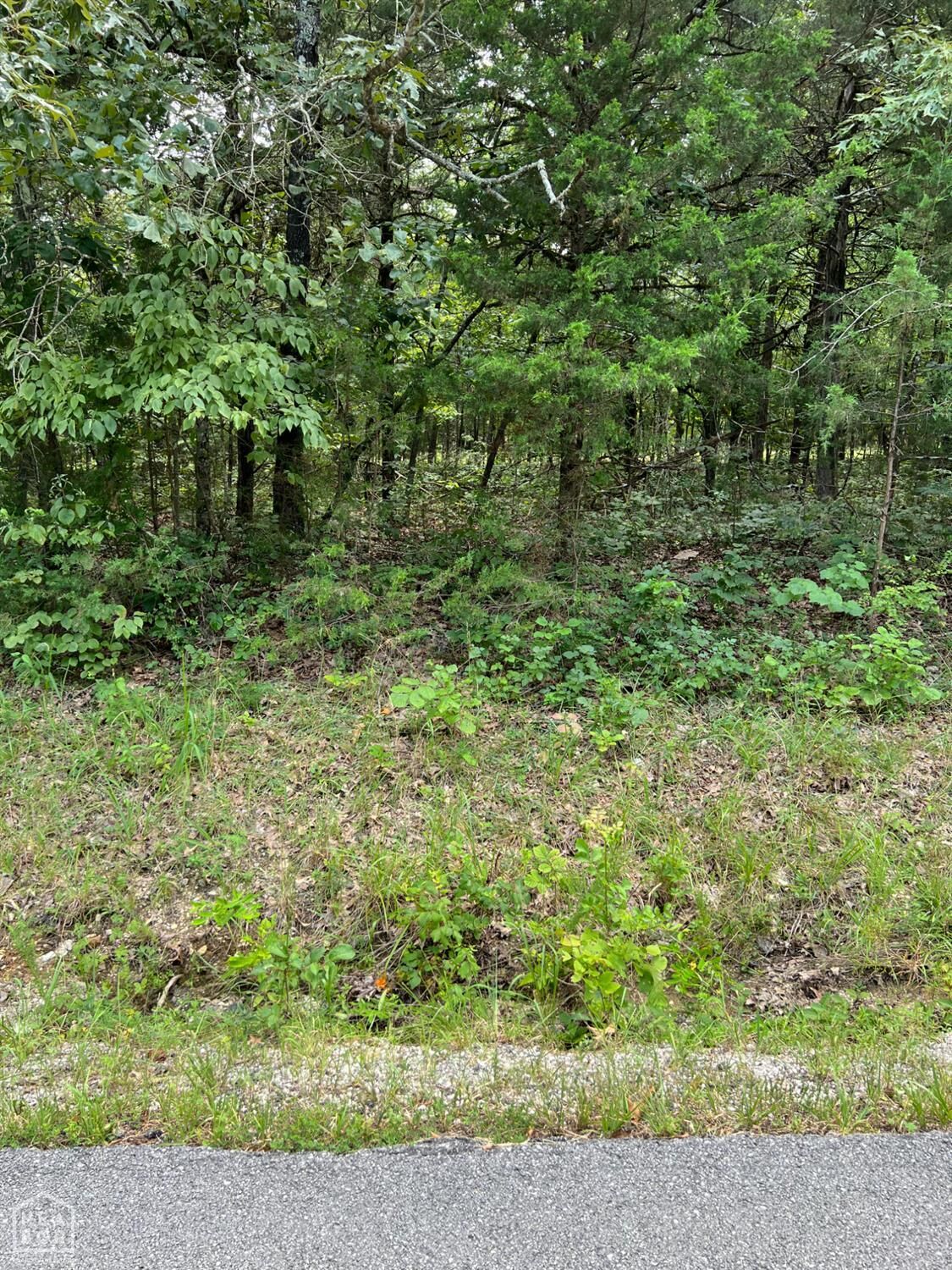 Property Photo: 807 W W. Tri Lakes AR 72512
