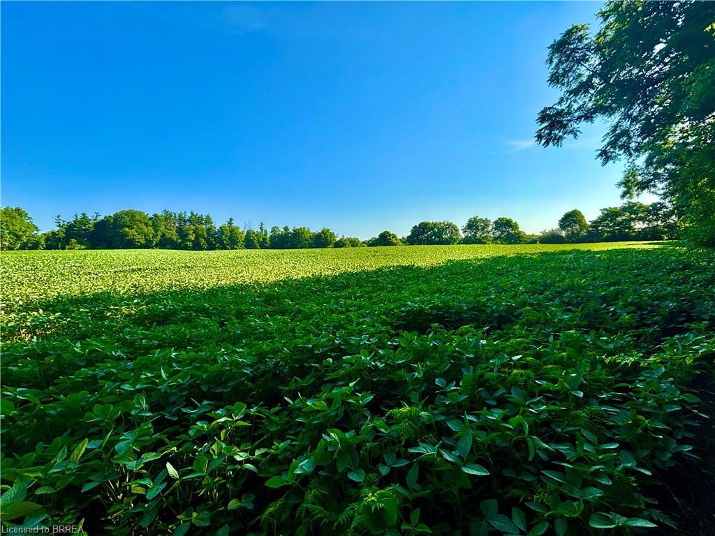 Property Photo:  81 Howell Road  ON N0E 1N0 