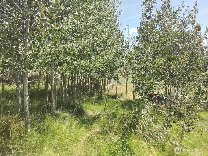 0  Painted Rock Road  Tonasket WA 98855 photo