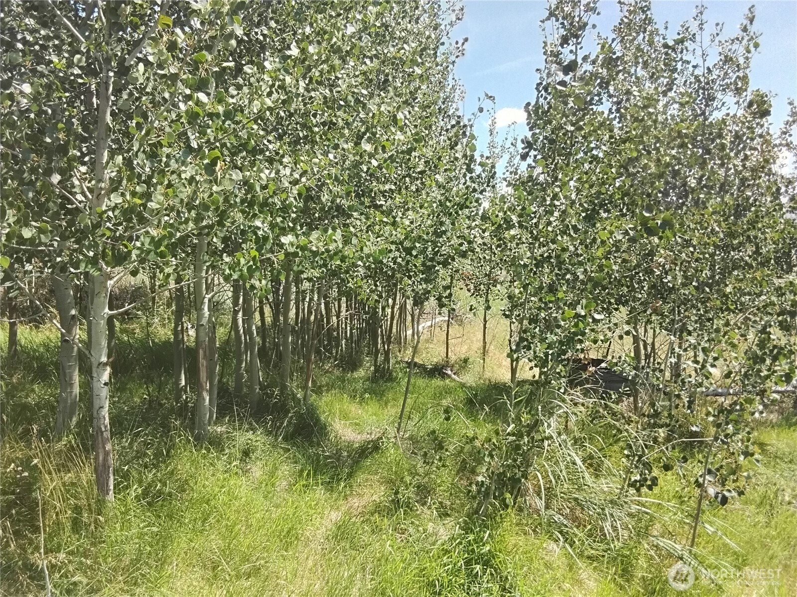Property Photo:  0  Painted Rock Road  WA 98855 