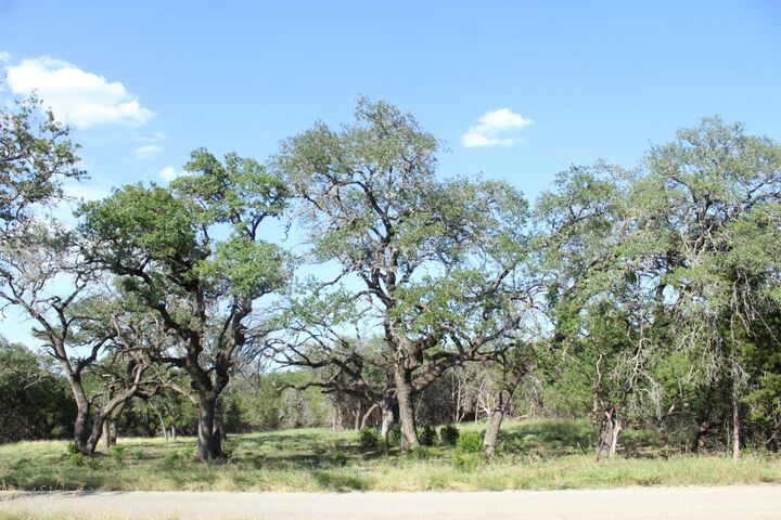 Lot-56 Travis Oaks Drive Drive  Marble Falls TX 78654 photo