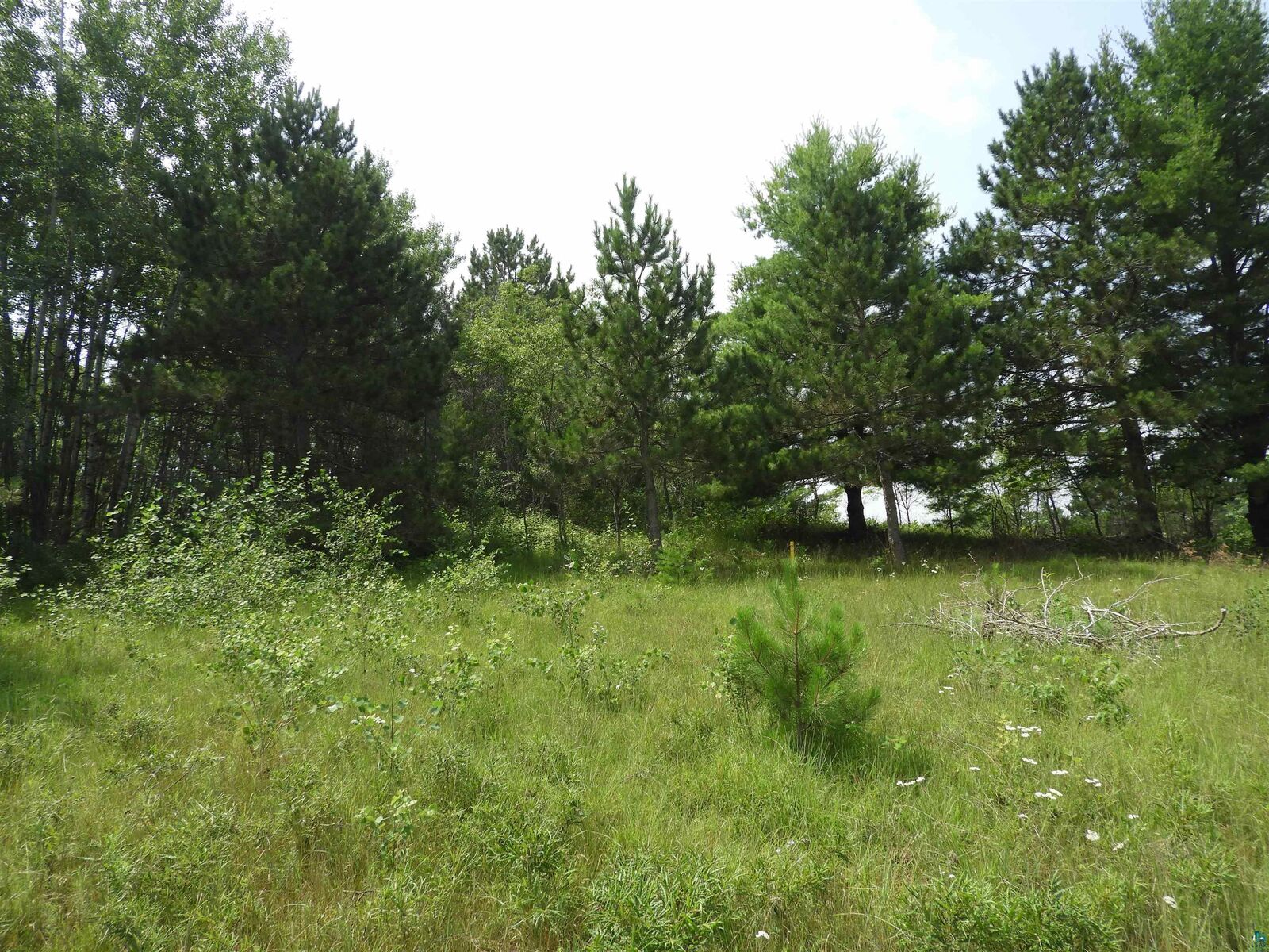 Property Photo:  Xxxx Moon Dr  WI 54847 