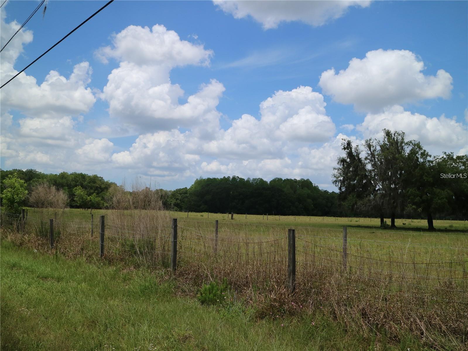 Property Photo:  11819 Tarpon Springs Road  FL 33556 