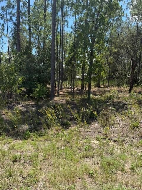 Property Photo:  Tbd Oak Lane Circle  FL 34472 