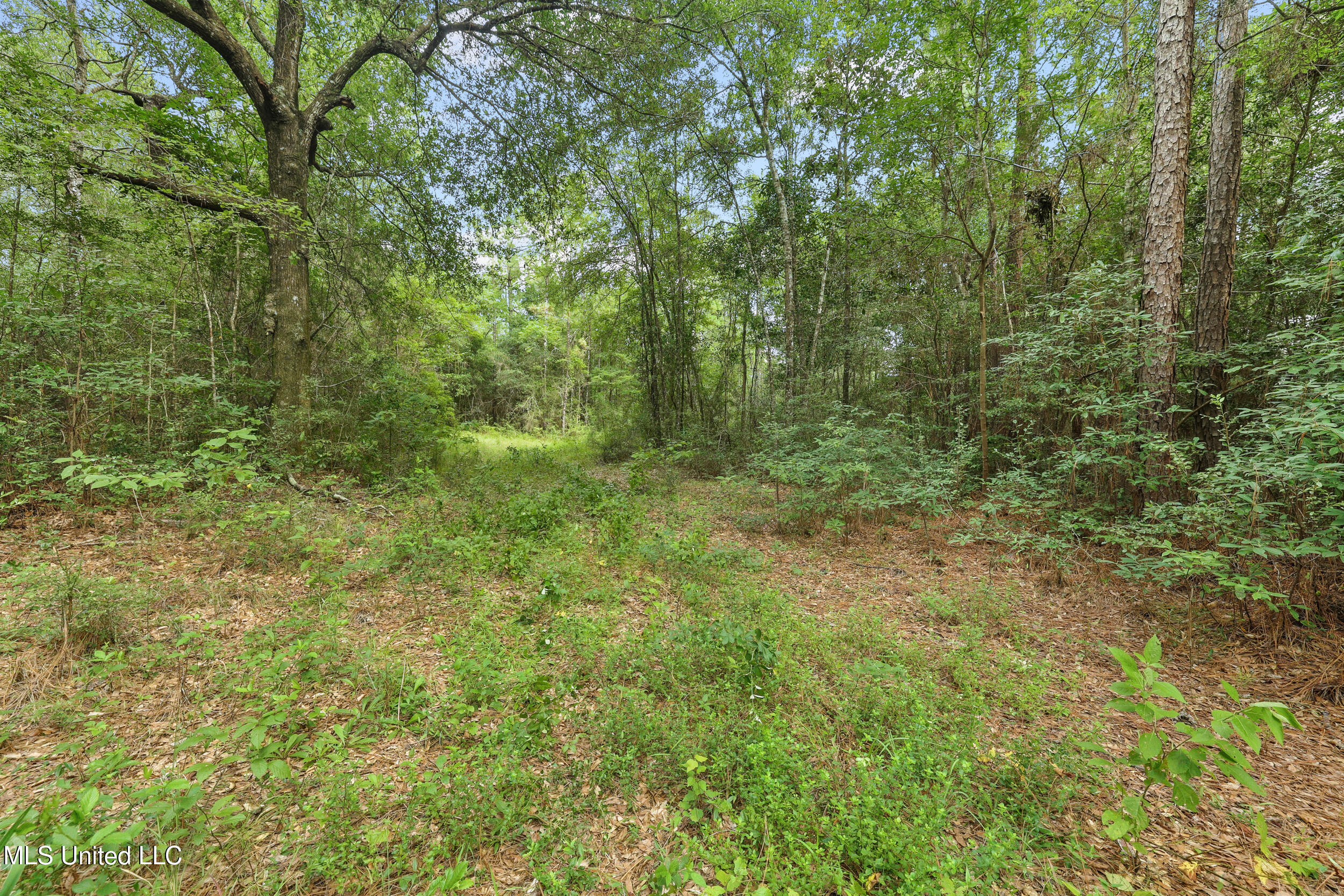 Property Photo: 0 Yankee Town Road MS 39574