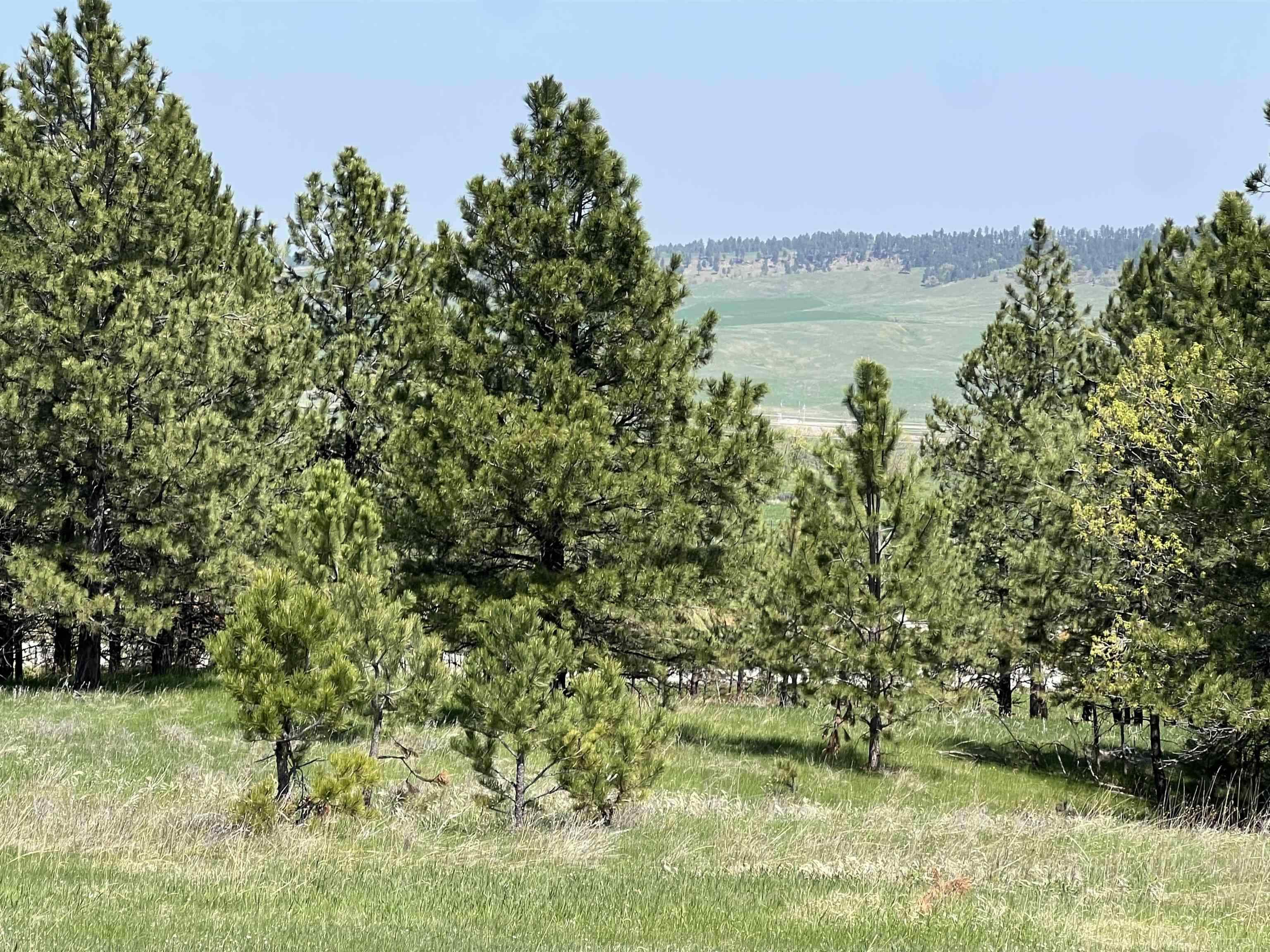 Lot 13 Oak Drive  Whitewood SD 57793 photo