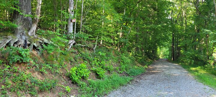Property Photo: 1 Terripan Run Rd TN 37058