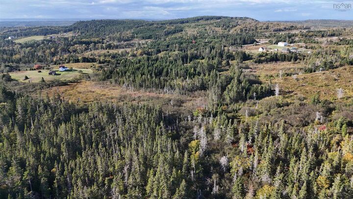 Lynches River Road — photo 1