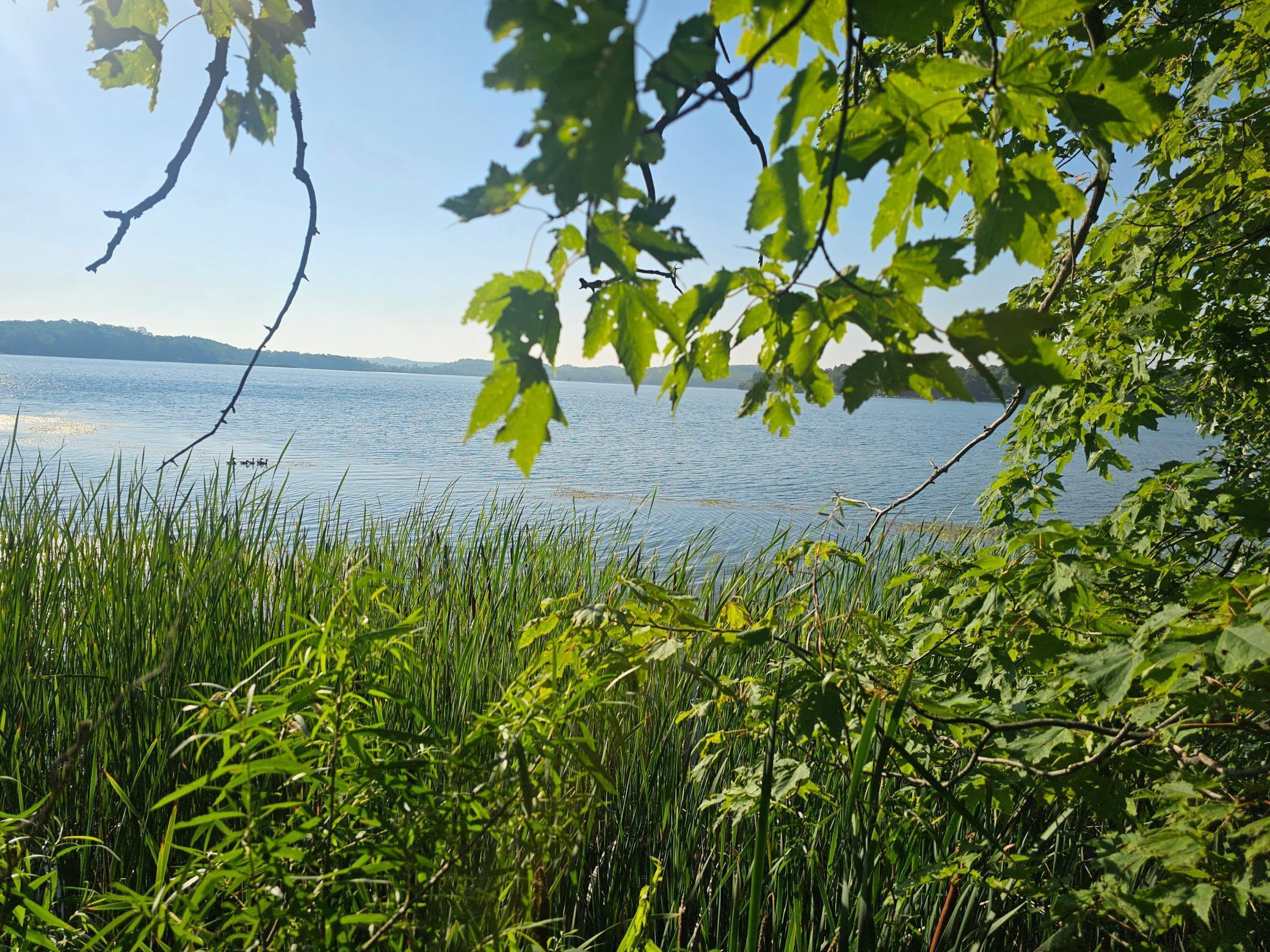 Property Photo:  Tbd Rabbit Lake Drive  MN 56441 