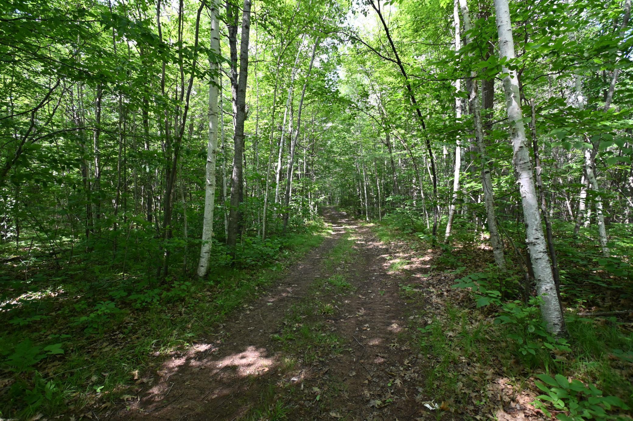 Property Photo:  Xx Railroad Rd  WI 54849 