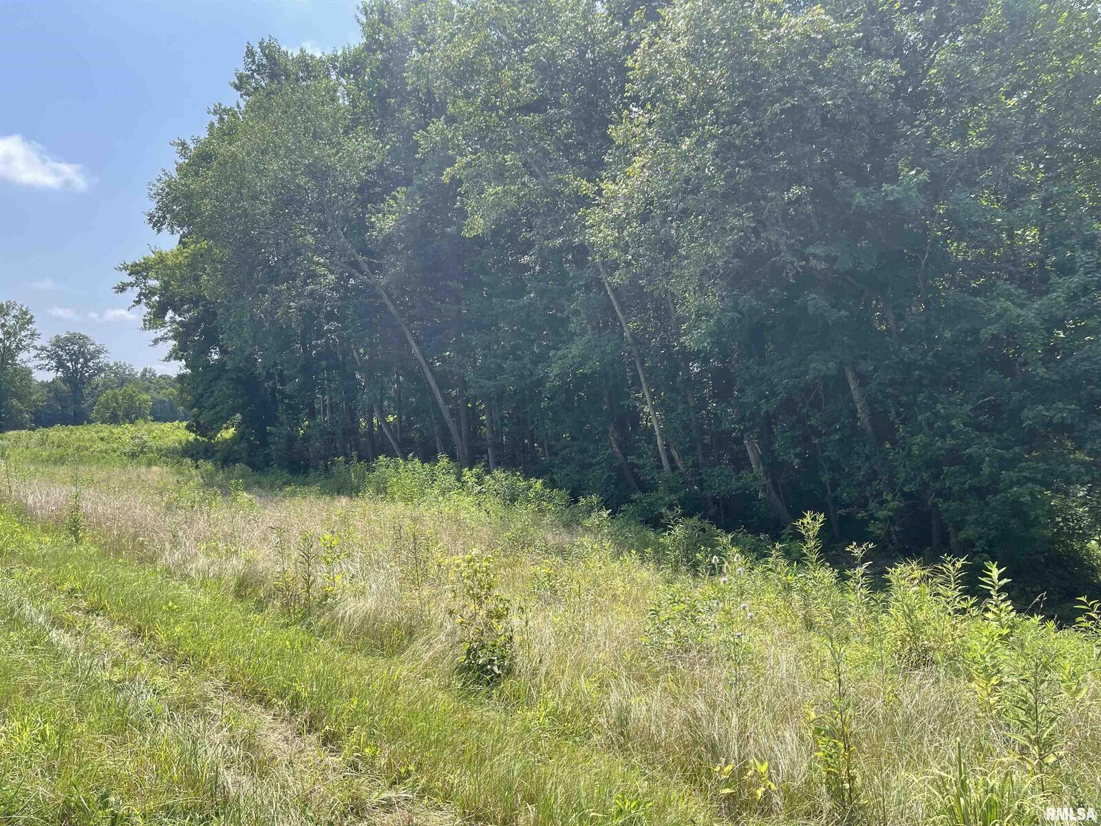 Property Photo: 000 State Route 146 W Street IL 62995