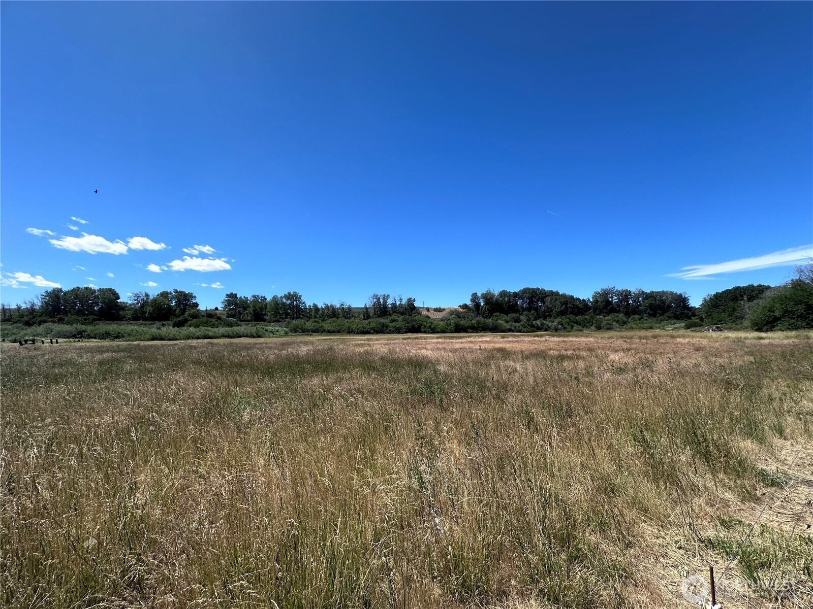 Property Photo:  11485 Xxx N Thorp Highway  WA 98946 