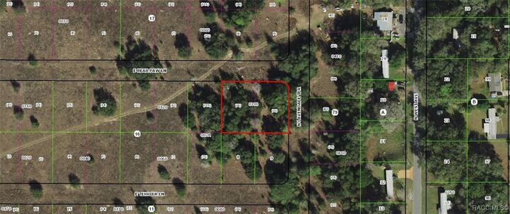 Property Photo: 2376 E Bear Paw Lane FL 34453
