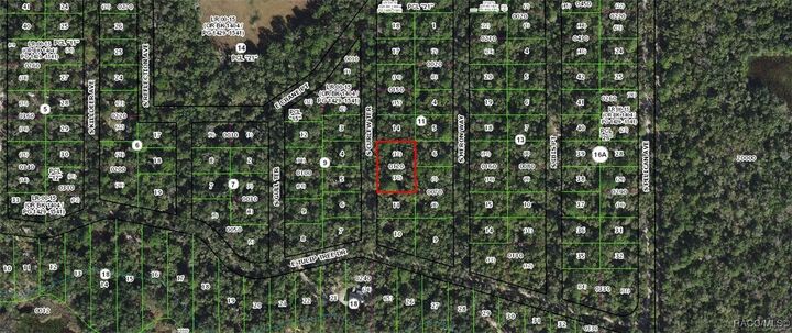 4013 S Curlew Terrace  Inverness FL 34450 photo