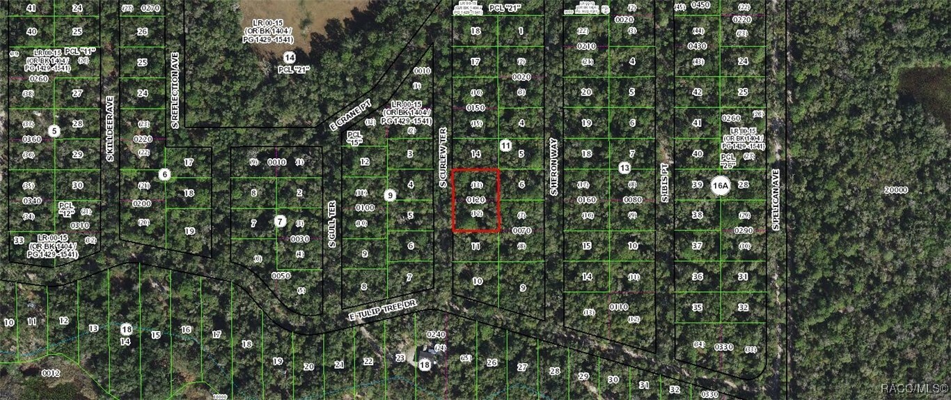 Property Photo: 4013 S Curlew Terrace FL 34450