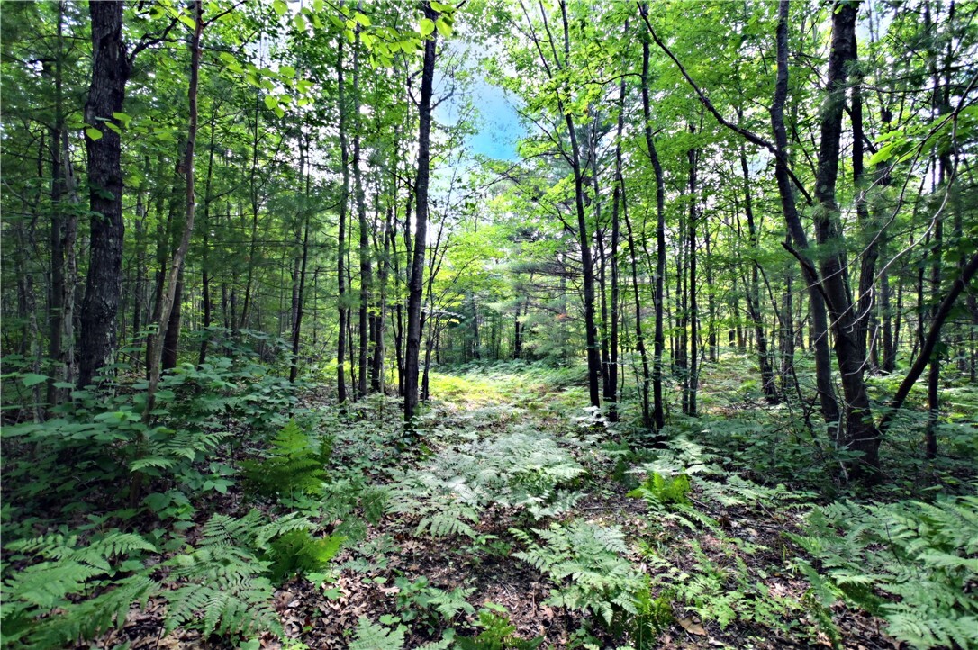 Property Photo:  Xxx Bellwood Pit Road  WI 54849 