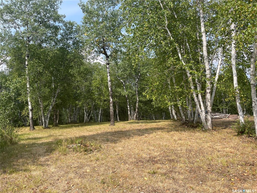 Rural Address  Big River Rm No. 555 SK S0J 0E0 photo