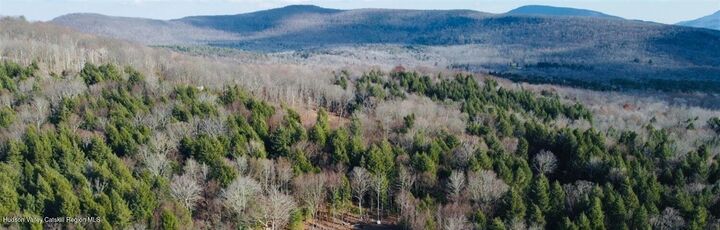 Property Photo:  0 Larsen Dr  NY 12496 