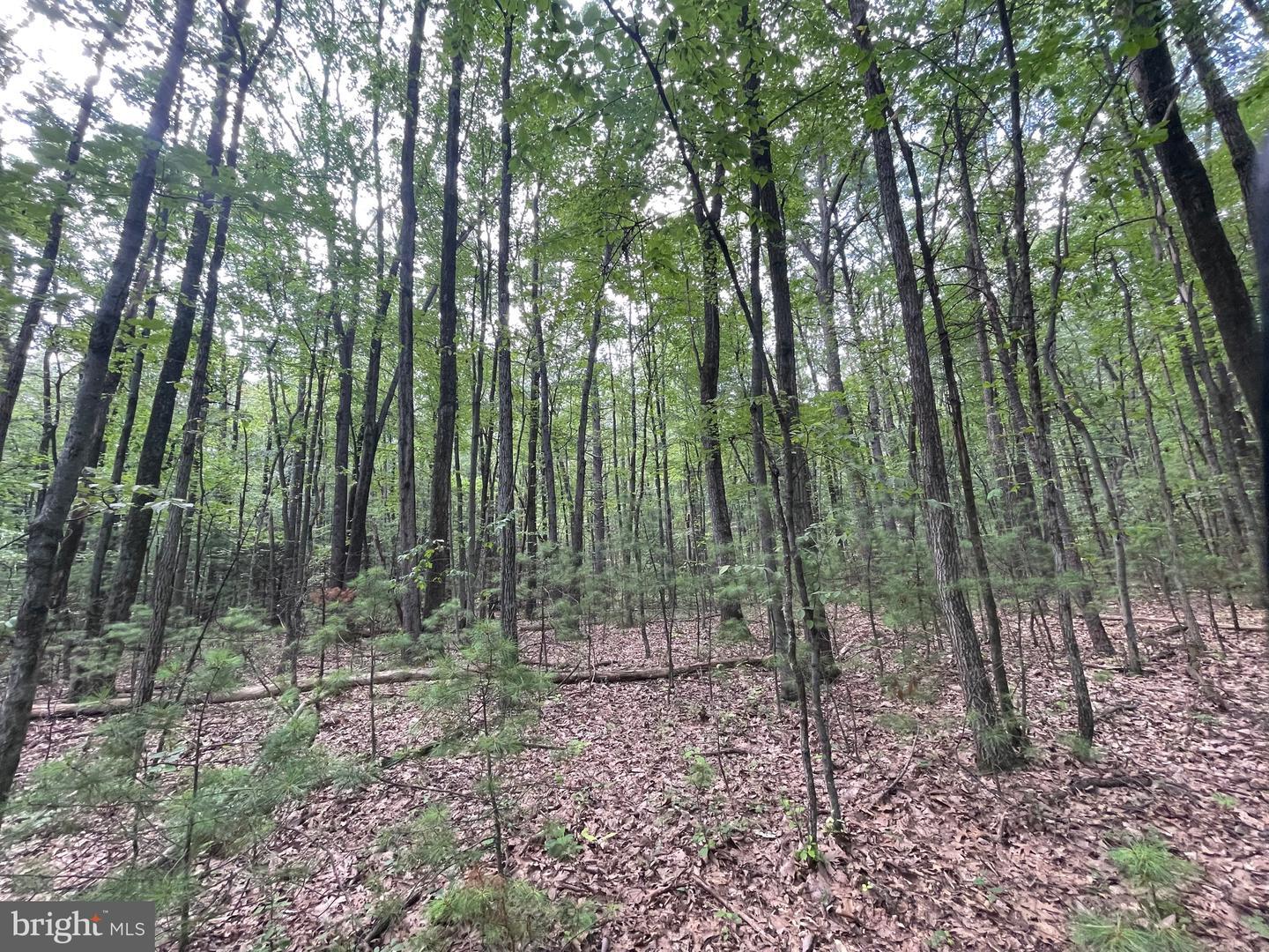 Property Photo: 0 Long Run Road PA 17963