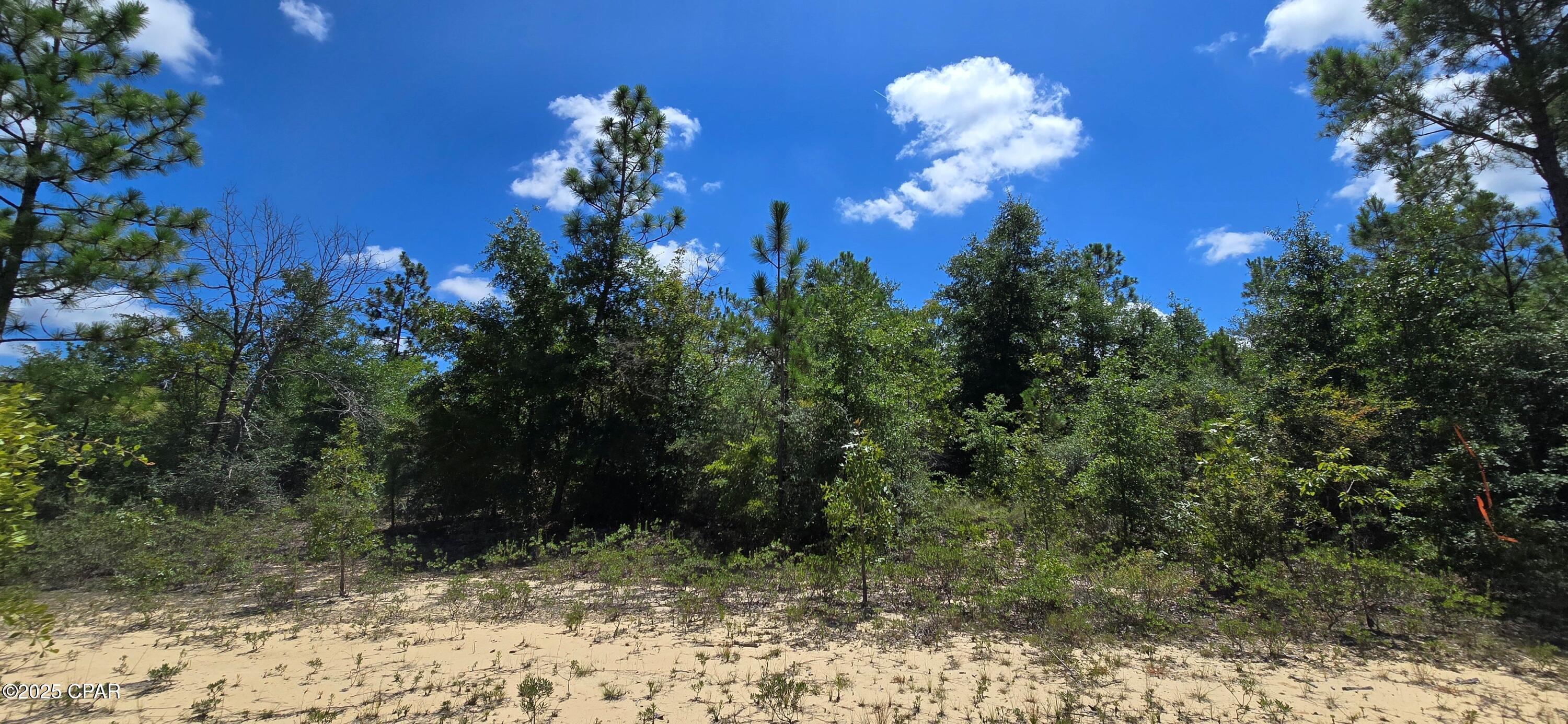 Property Photo: Lot 2 Converse Avenue FL 32428