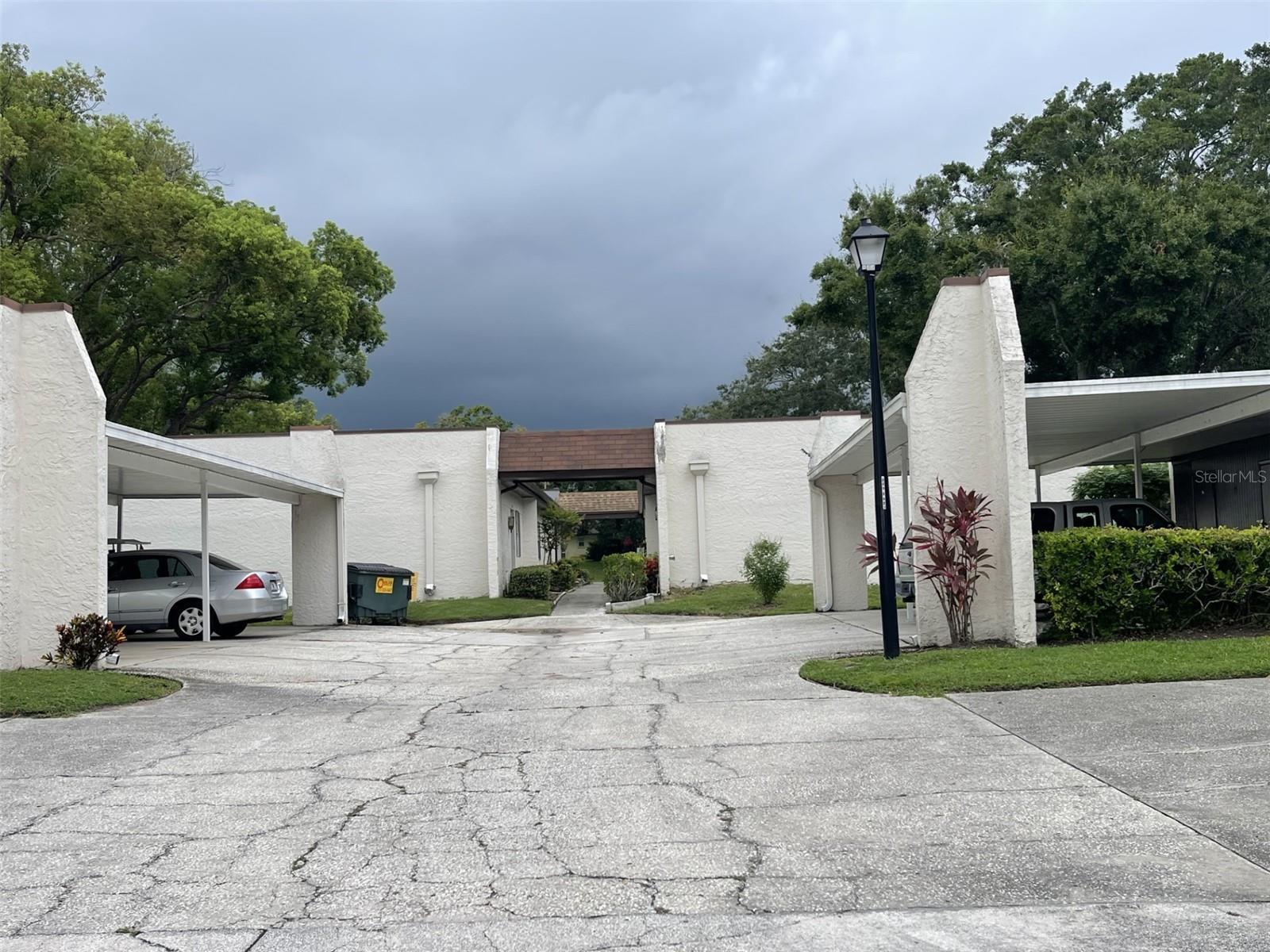 Property Photo: 3117 Mission Grove Drive FL 34684