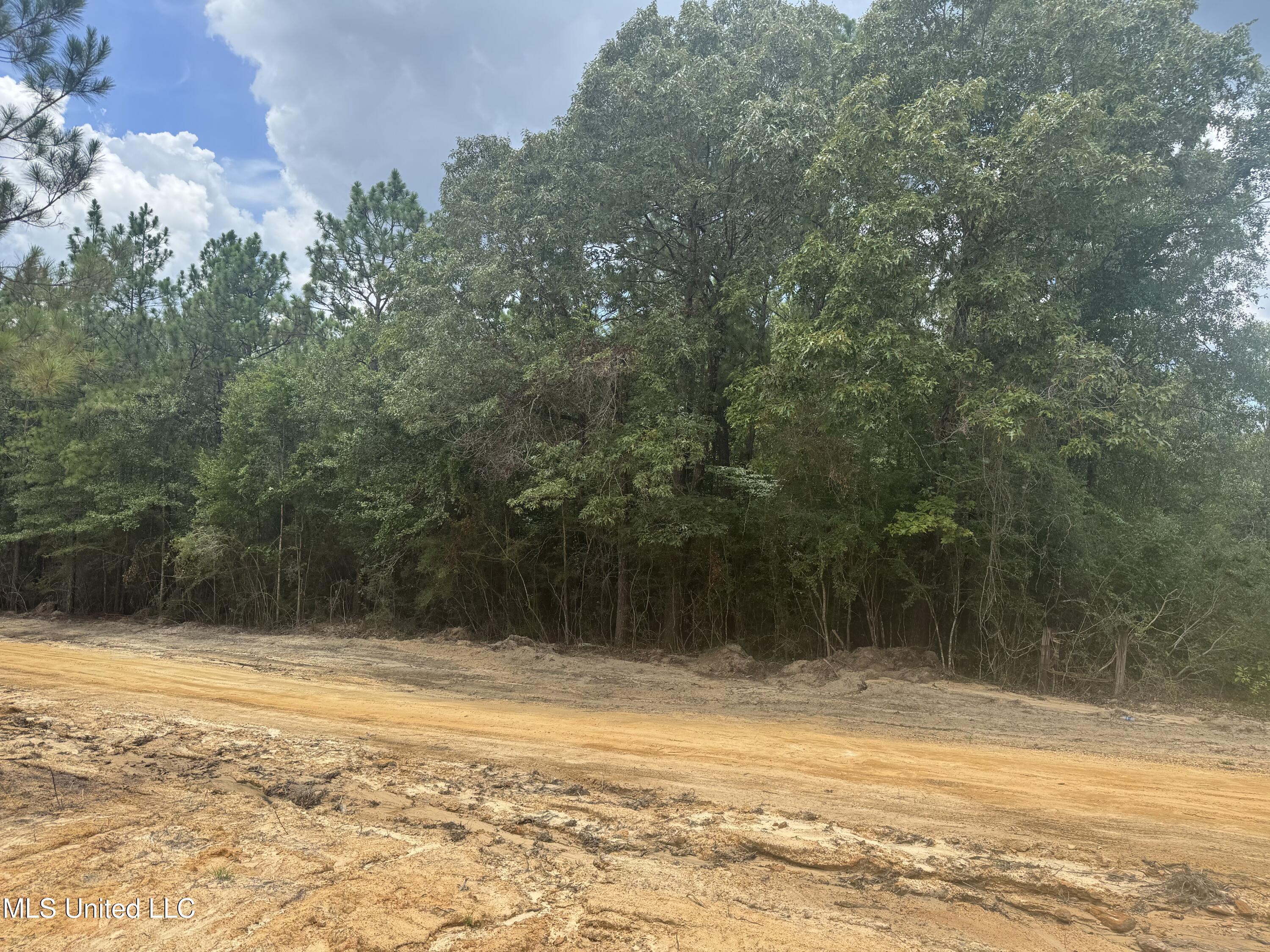 Property Photo: 00 Joshua Road MS 39561