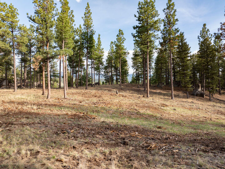Property Photo: Tbd Leaning Tree Lane MT 59634