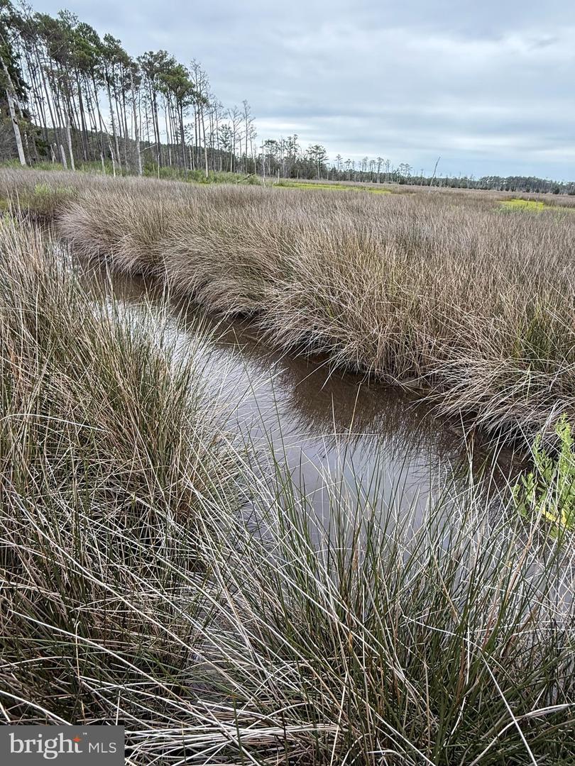Property Photo: Farm Creek MD 21672