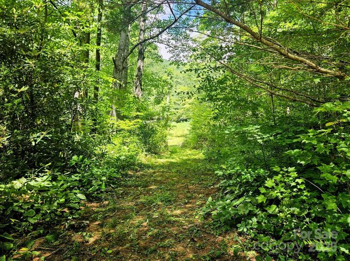 Property Photo:  1450 White Oak Creek Road  NC 28714 