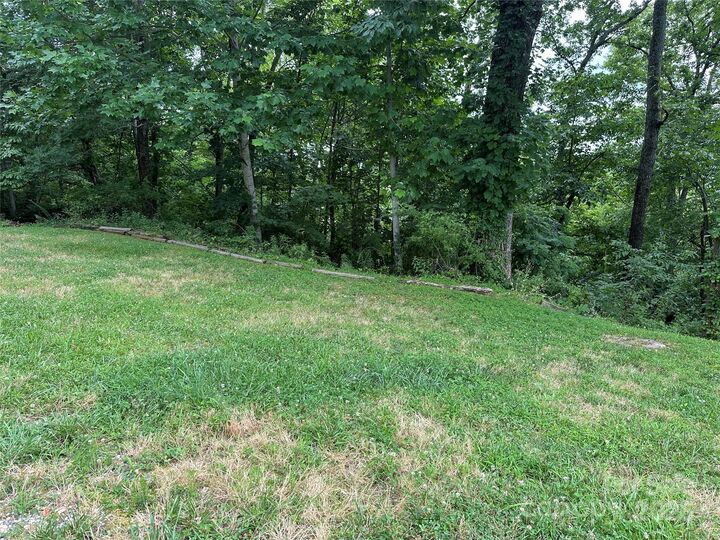 Property Photo: 109 Ladys Fern Trail NC 28739