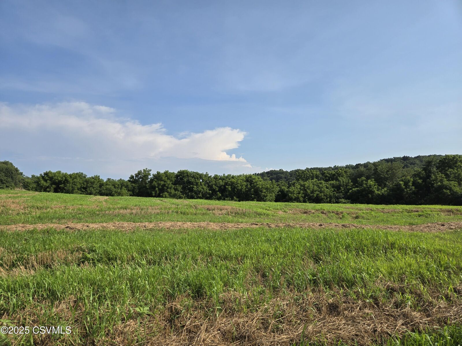 Property Photo:  Mowery Road  PA 17821 