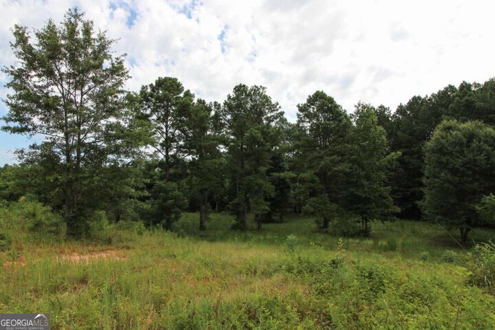 Property Photo:  60 Sandy Cross Road  GA 30648 