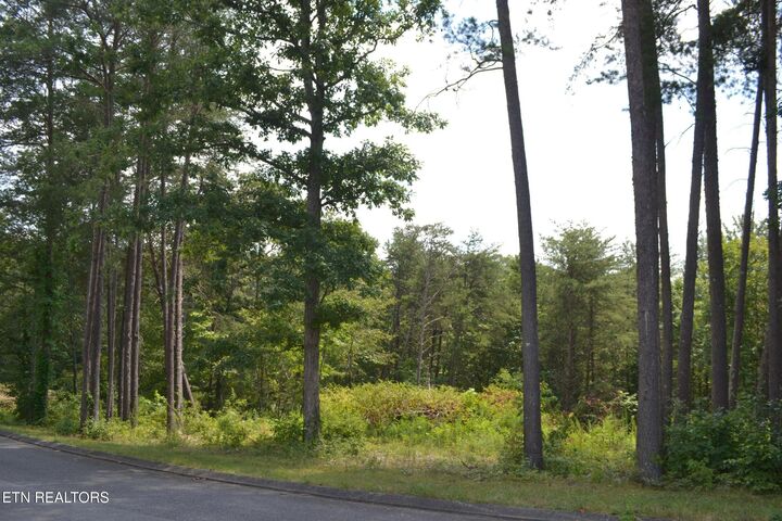 Property Photo:  0 Countryside Drive  TN 37327 